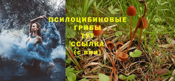 бошки Слюдянка