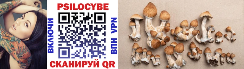 продажа наркотиков  Алагир  Галлюциногенные грибы Cubensis 